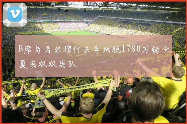 B席与马尔穆什去年纳税1780万镑今夏或双双离队