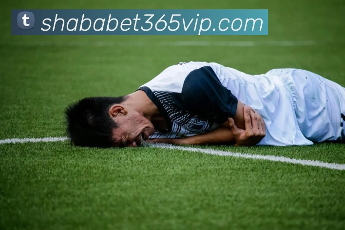 沙巴体育APP 高清赛事图